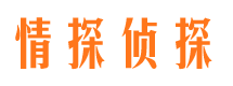 南部外遇出轨调查取证